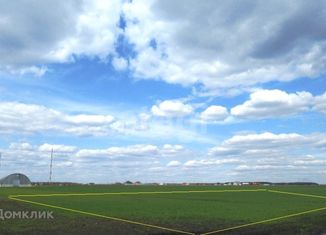 Земельный участок на продажу, 30 сот., деревня Грачевка