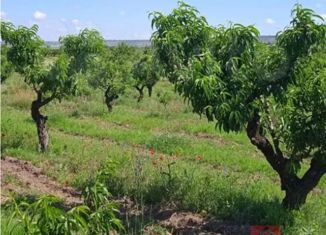 Продажа участка, 300 сот., село Севастьяновка, Партизанская улица, 46