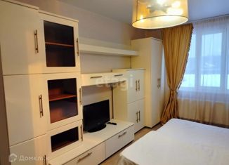 Сдача в аренду 2-ком. квартиры, 49 м2, хутор Ветряк, Выборская улица, 10