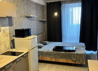 Продается квартира студия, 29.7 м2, Ставрополь, улица Чехова, 138, микрорайон № 11