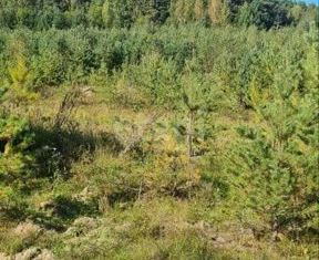 Участок на продажу, 100 сот., деревня Лаптево