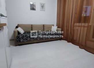 Продается квартира студия, 20.4 м2, Санкт-Петербург, Планерная улица, 93, ЖК Нью Тайм