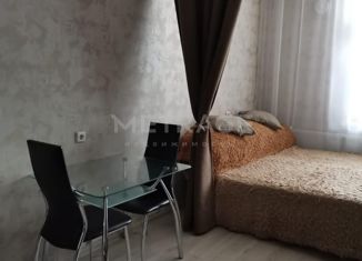 Многокомнатная квартира на продажу, 29 м2, Новосибирск, Кировский район, улица Петухова, 16/4