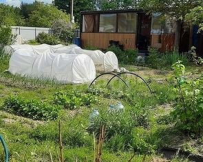 Продажа дома, 30 м2, садовое товарищество Парус, Дубовый проезд