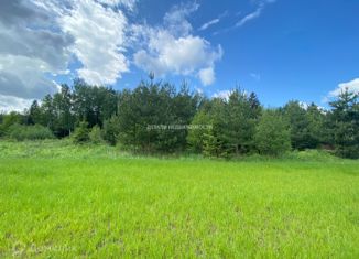 Продается участок, 38 сот., деревня Шевёлкино, Ягодная улица