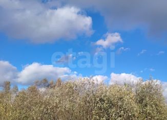 Продажа земельного участка, 10 сот., НСТ Сосновая Поляна, 13-я улица