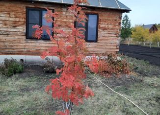 Продажа дома, 48 м2, СНТ Тоннельщик, Молодёжная улица