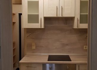 Продается квартира студия, 22.9 м2, Тосно, шоссе Барыбина, 10А