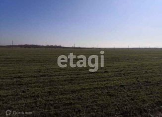 Продажа участка, 324.7 сот., станица Северская