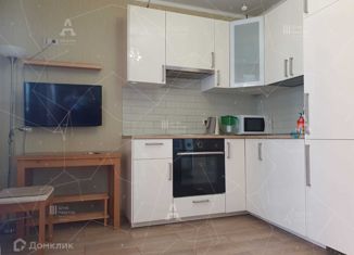 Сдаю квартиру студию, 25 м2, Мурино, Привокзальная площадь, 1Ак1, ЖК Мечта