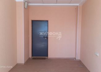 Продажа офиса, 18 м2, Новосибирск, улица Фрунзе, 96, Центральный район