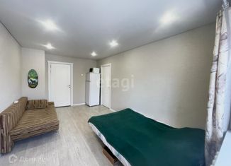 Продается двухкомнатная квартира, 40.8 м2, Татарстан, Окольная улица, 94Ак1