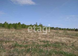 Продаю участок, 250 сот., деревня Чаплык, Центральный переулок