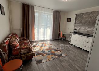 Сдам квартиру студию, 26 м2, Челябинск, Телевизионная улица, 18, ЖК ЭвоПарк