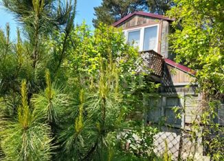 Продам дом, 35 м2, садоводческое некоммерческое товарищество Берёзка