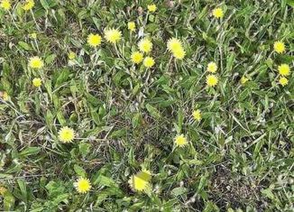 Продается участок, 240 сот., село Хохлово