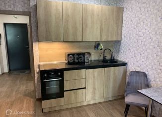 Аренда однокомнатной квартиры, 40 м2, Воронеж, улица Загоровского, 1, ЖК Россия - Пять столиц