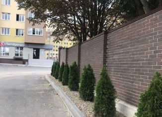 Продам 1-комнатную квартиру, 42 м2, Ставрополь, улица Чапаева, 4/1Б, микрорайон Чапаевка