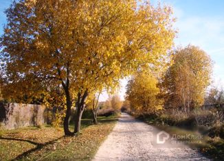 Продам участок, 15 сот., деревня Митино, Васильковая улица