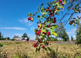 Участок на продажу, 39 сот., Вологодская область