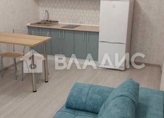 Квартира на продажу студия, 25 м2, Кудрово, Столичная улица, 2, ЖК Лондон