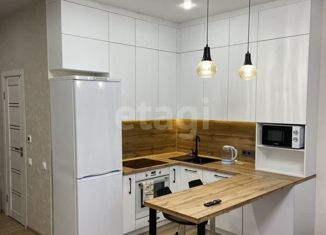 Сдаю квартиру студию, 37 м2, Нижний Новгород, улица Максима Горького, 23А, Нижегородский район