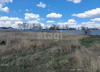 Земельный участок на продажу, 15 сот., посёлок совхоза Воронежский, Дорожная улица, 17/1