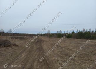 Продаю земельный участок, 1580 сот., деревня Дорохи