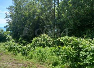 Продажа участка, 6 сот., село Детляжка