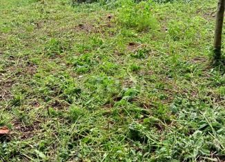 Продается земельный участок, 15 сот., село Липин Бор, Северная улица, 9