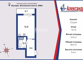 Квартира на продажу студия, 27.1 м2, посёлок Шушары, Московское шоссе, 258к2
