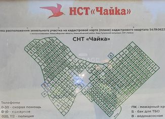 Продажа участка, 5 сот., садовое товарищество Чайка, садовое товарищество Чайка, 49