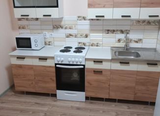 Сдача в аренду 1-комнатной квартиры, 39.6 м2, Воронеж, ЖК Крымский Квартал, улица Конструкторов, 29А