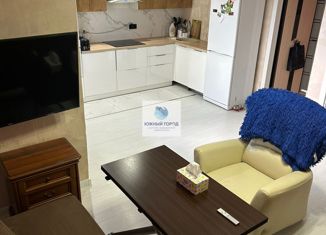 Продается квартира студия, 39 м2, село Мысхако, Шоссейная улица, 21