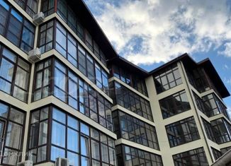 Продается квартира студия, 60 м2, село Весёлое, Васильковый переулок, 33Д