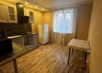 Сдам в аренду 2-комнатную квартиру, 50 м2, Оренбург, Салмышская улица, 9/3