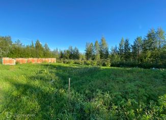 Продается дом, 40 м2, СНТ Строитель