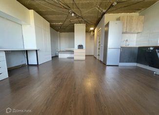 Аренда квартиры студии, 41.2 м2, деревня Кабицыно, улица Гоголя, 23