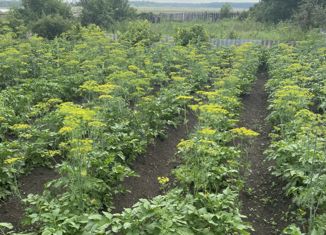 Продам участок, 4 сот., Чебаркуль, СНТ Металлург-3, 195