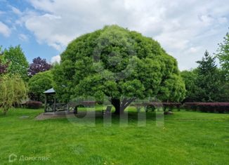 Продам земельный участок, 52 сот., деревня Власово, Центральная улица, 67Б