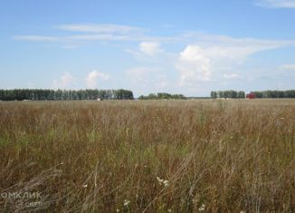 Продажа земельного участка, 14.62 сот., деревня Искино