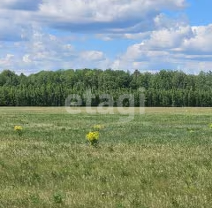 Участок на продажу, 6600 сот., Туринск, Слободо-Туринская улица