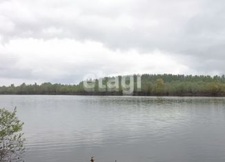 Продаю участок, 16 сот., село Палевицы, Советская улица, 48