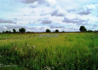 Земельный участок на продажу, 17 сот., деревня Ручьи, Заречная улица, 31А