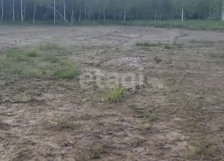 Продажа участка, 10 сот., деревня Большое Петровское