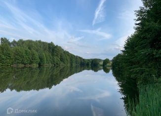 Продам земельный участок, 40 сот., деревня Паново