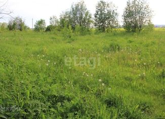 Продам земельный участок, 580 сот., деревня Поповкино