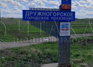 Продам дом, 73.8 м2, городской посёлок Дружная Горка, Усадебная улица