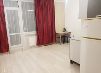 Сдаю в аренду квартиру студию, 30 м2, Санкт-Петербург, Парфёновская улица, 9к2, ЖК Галактика