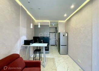 Сдам квартиру студию, 19.6 м2, Москва, улица Казакова, 7, метро Курская